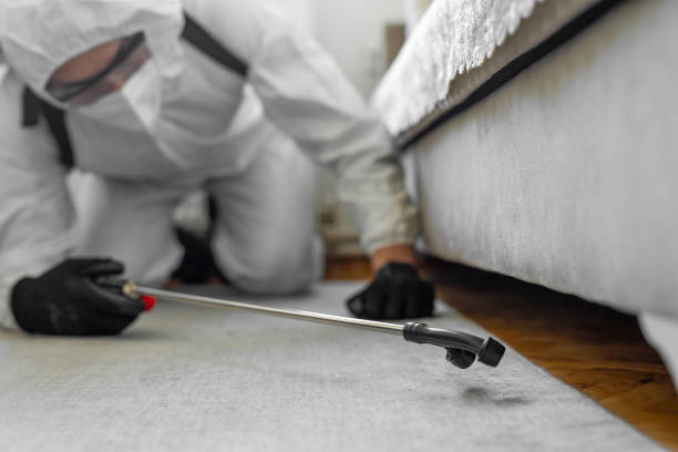 Professional Cockroach Control technician working in Welsh, LA