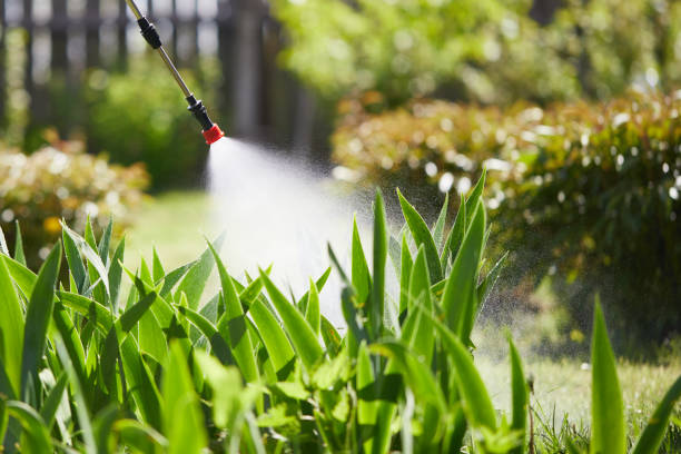 24/7 Emergency Cockroach Control experts in Welsh, LA