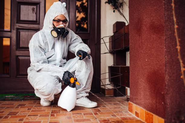 Reliable Cockroach Control contractor in Welsh, LA by Nex Pest Control