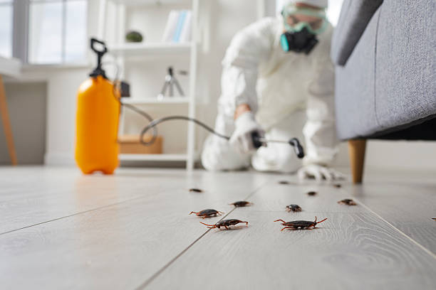 Affordable Cockroach Control solutions in Welsh, LA