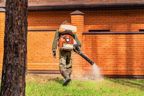 Top rated local Cockroach Control specialists in Welsh, LA